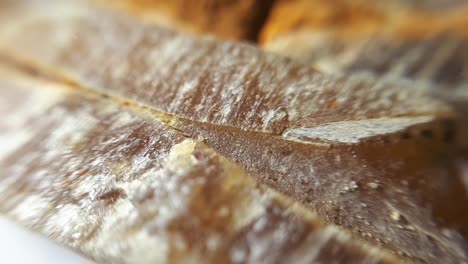 Fossilized-Belemnits-On-White.-Macro-Close-Up-Studio-Shot-4