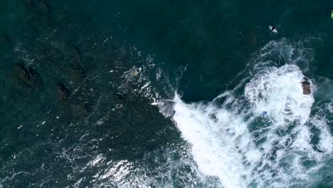 wide top down shot from aerial drone view of surfers waiting for a wave near rock