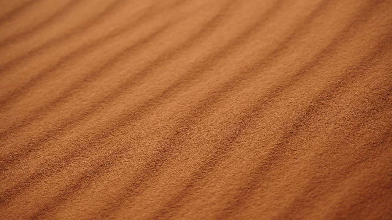 Golden Sahara sand ripples create flowing patterns shaped by desert winds