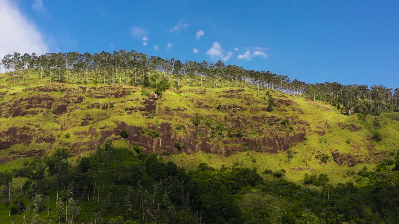 Mountain slopes covered with rainforest and jungle. Sri Lanka.