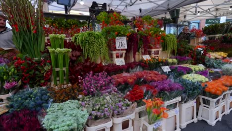 colorful flowers and plants for sale at columbia road flower market in london, vibrant display