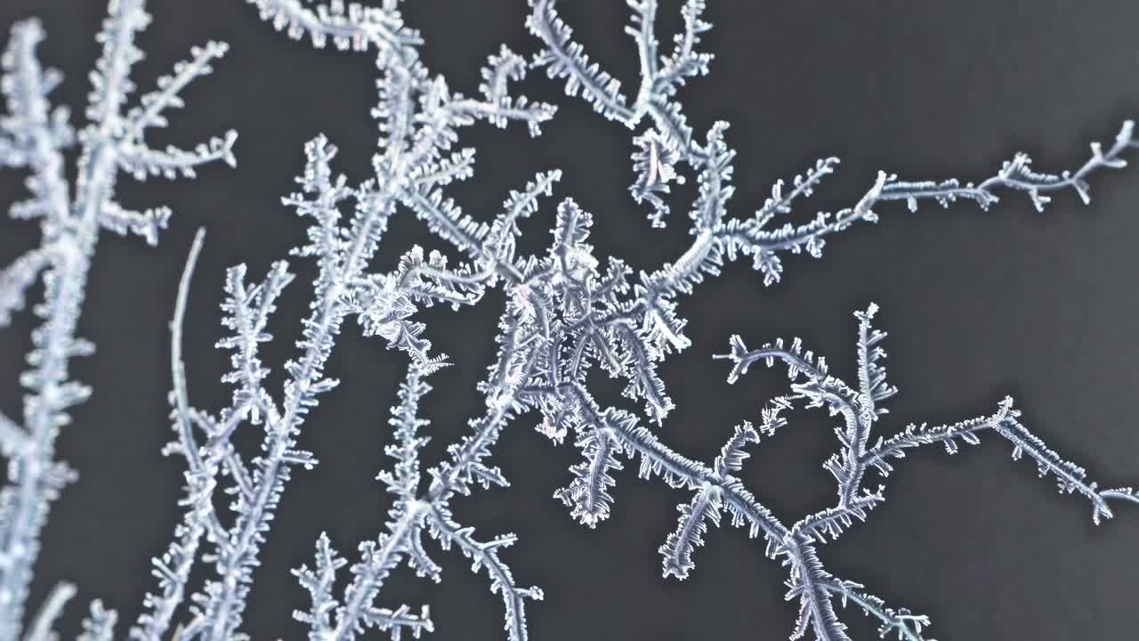 Detailed Frost Pattern