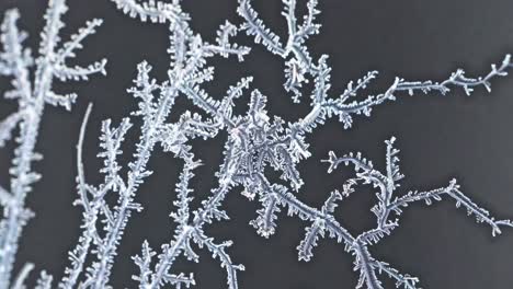 detailed frost pattern