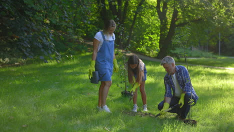 family planting trees in a park