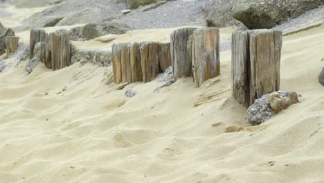 postes de madera en la arena