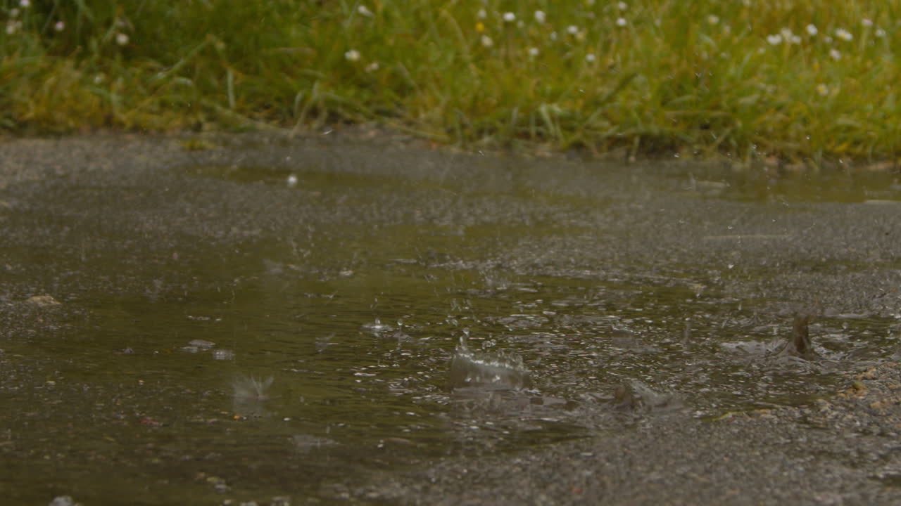 운동 하는 여자 의 클로즈업  - 체력을 유지 하는 것 - 비 에 달리는 것 - 웅이 에 는 것