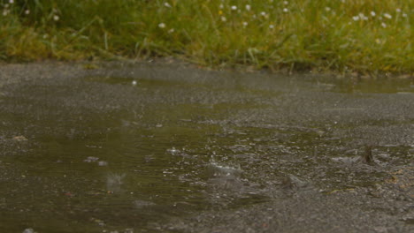 close up shot of woman exercising keeping fit running in rain splashing in puddle