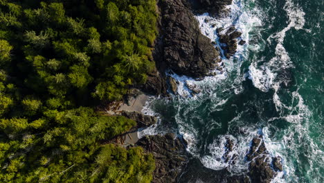 drone video at sunset in ucluelet british columbia, canada over the ocean and forest