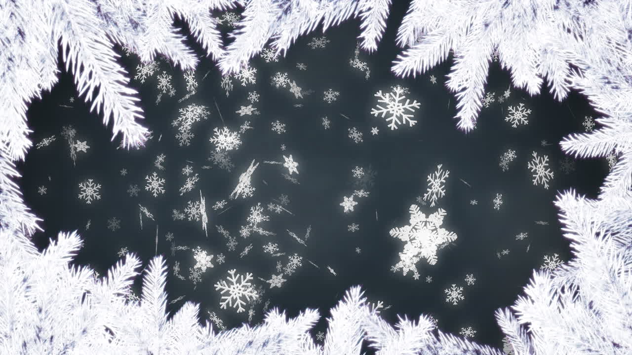 animación de ramas de abeto blanco sobre un fondo negro