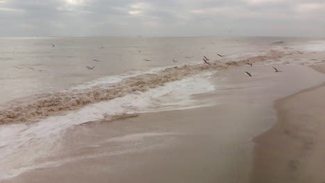 Flying-with-seagulls-along-the-coastline-just-above-crashing-waves