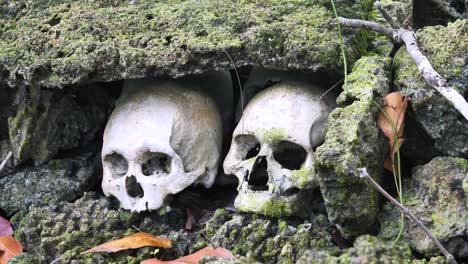 scull island, munda, solomon islands - headhunting — the practice of preserving the decapitated head of an enemy after he or she is killed - creepy-yet-fascinating ceremonial practice