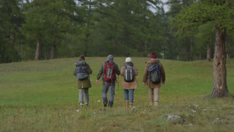 vista trasera de un grupo de cuatro excursionistas con mochilas caminando juntos en el césped del bosque verde