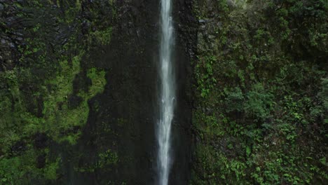 waterfall in a lush forest