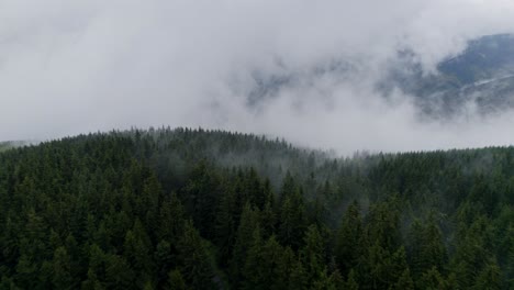 Bosque-Y-Colina-Por-La-Mañana-En-Tiempo-De-Niebla-1