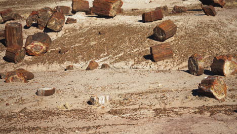 view of ground strewn with petrified logs in petrified forest national park