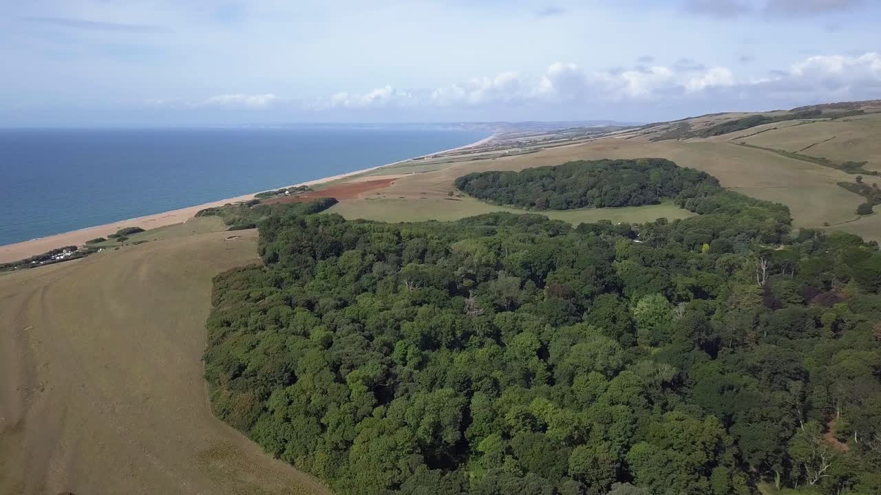 Coastal Landscape with Forest and Sea