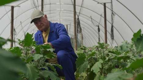 mature man working on farm