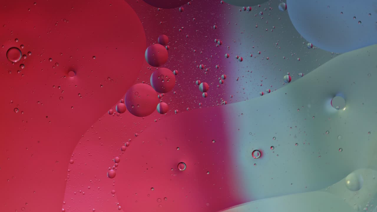 Macro structure of colorful oil bubbles. Chaotic motion. Abstract multicolored background. Pattern