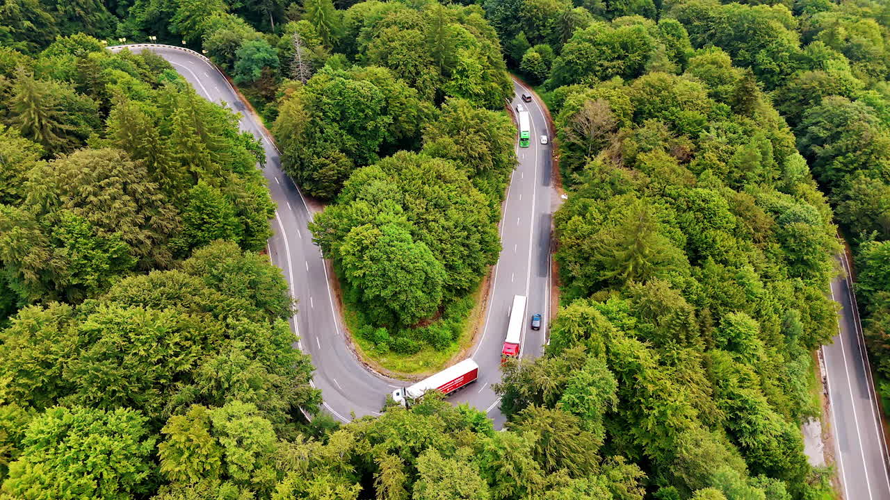 Winding road through lush green forest. Two trucks navigate a curvy road surrounded by dense trees and greenery on a sunny day