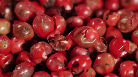 dried pink pepper close-up macro. a bunch of natural pink pepper peas hot spice.seasonings and condiments concept