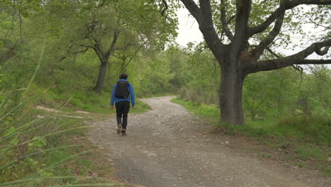 Hombre-Con-Mochila-Senderismo-Caminando-En-Carretera-De-Montaña