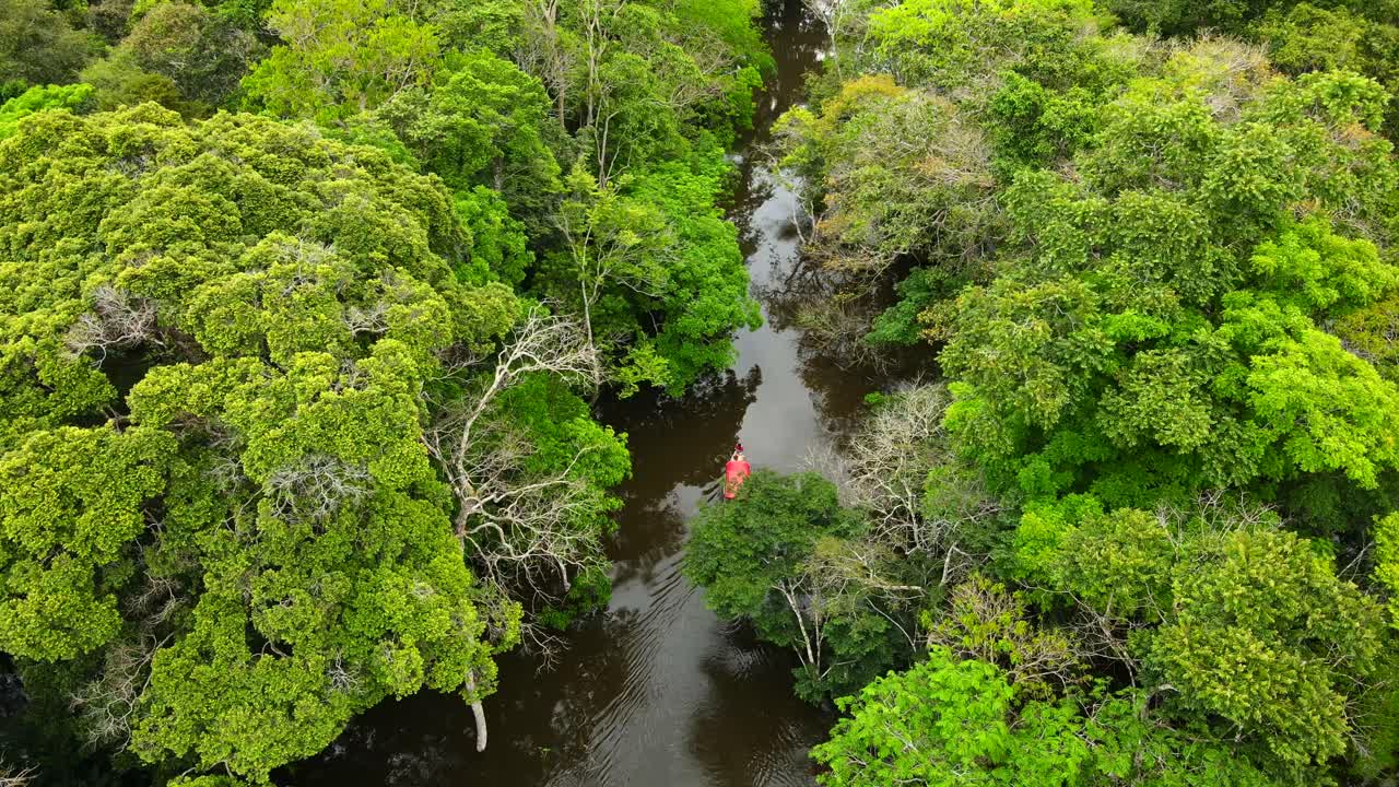 Vista aerea di una lussureggiante foresta pluviale amazzonica mentre un motoscafo naviga lentamente attraverso le mangrovie del Rio delle Amazzoni vicino a Manaus, Brasile