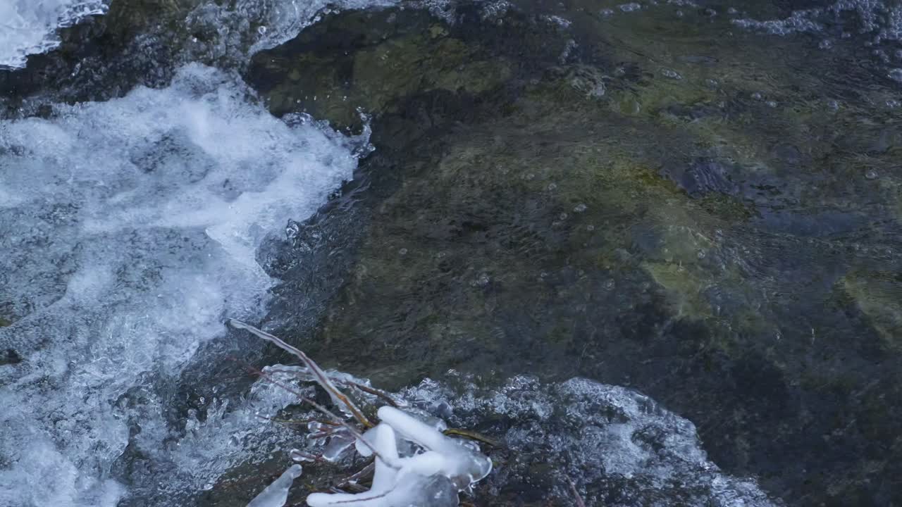 Paesaggio fluviale invernale con foresta innevata