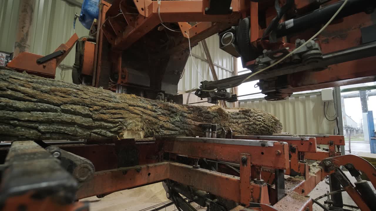 Tora grande sendo cortada por máquina de serraria em uma fábrica de madeira.