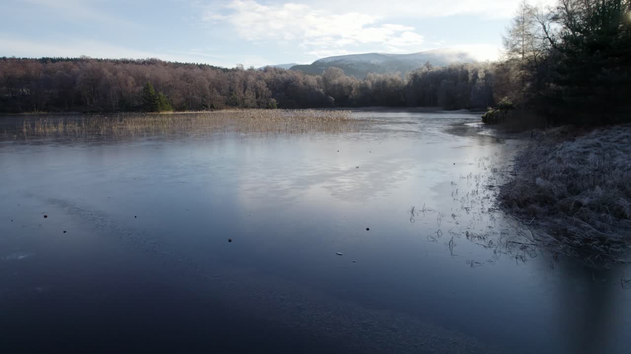 Aerial drone footage flying over the surface of a frozen loch and reeds in a winter landscape on Rothiemurchus estate in Cairngorms National Park, Scotland with native pine and birch tree