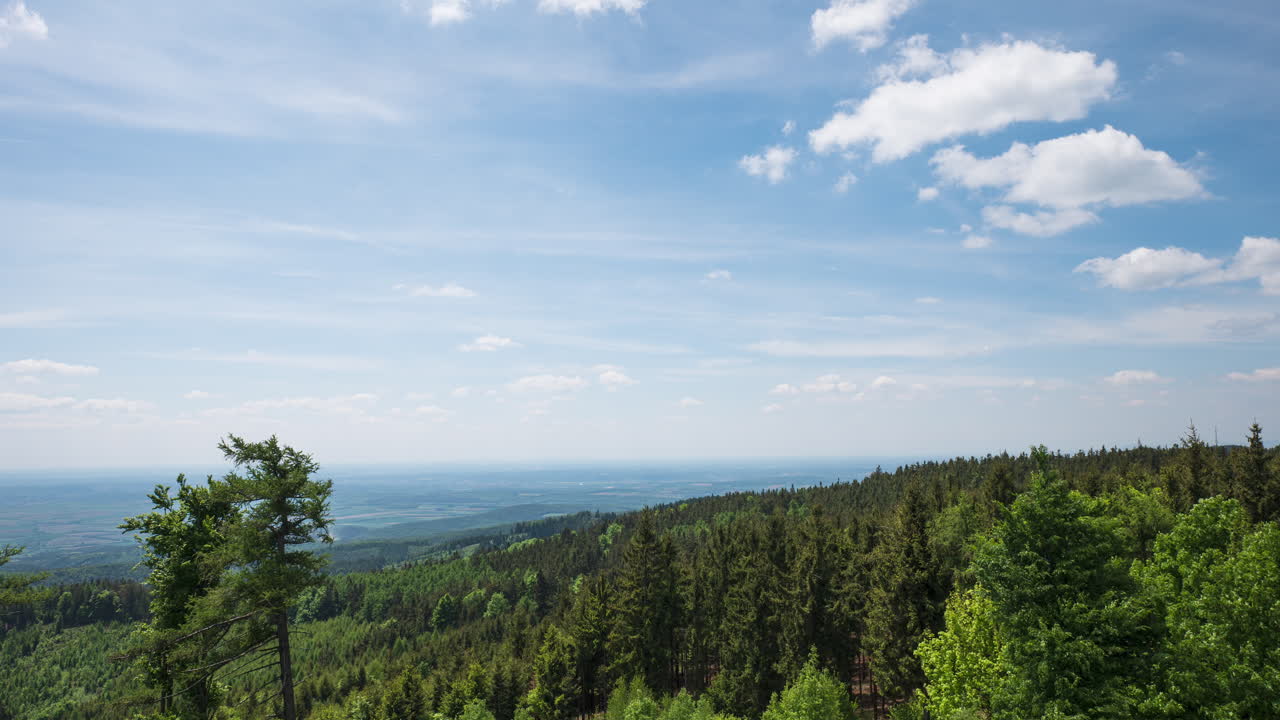 Time lapse view over a lush green forest under a dynamic sky