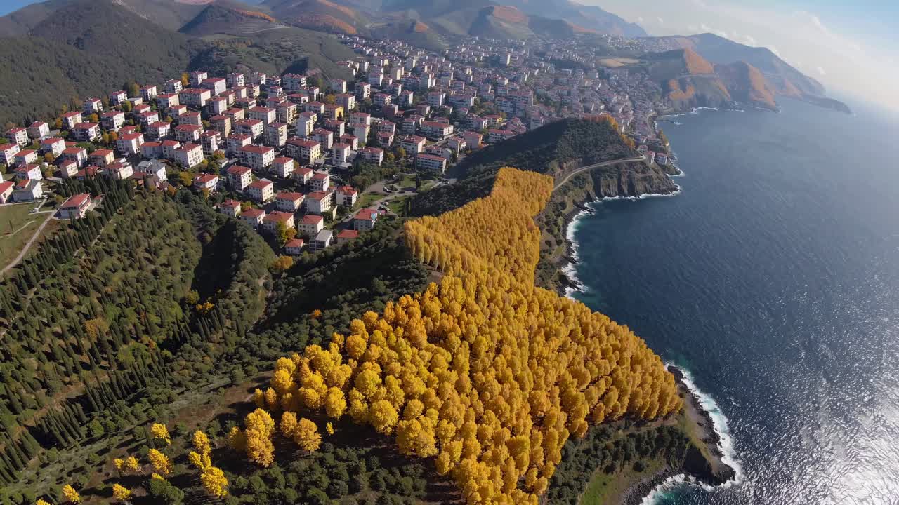 Aerial video captures a stunning coastal landscape with vibrant autumn trees and a sprawling