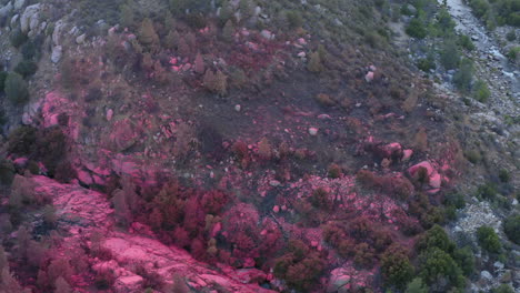 red fire retardant chemicals dropped over mountain valley, wildfire prevention