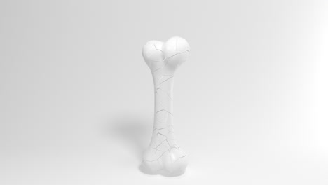recupero dell'osso isolato su sfondo bianco, rendering 3d.
