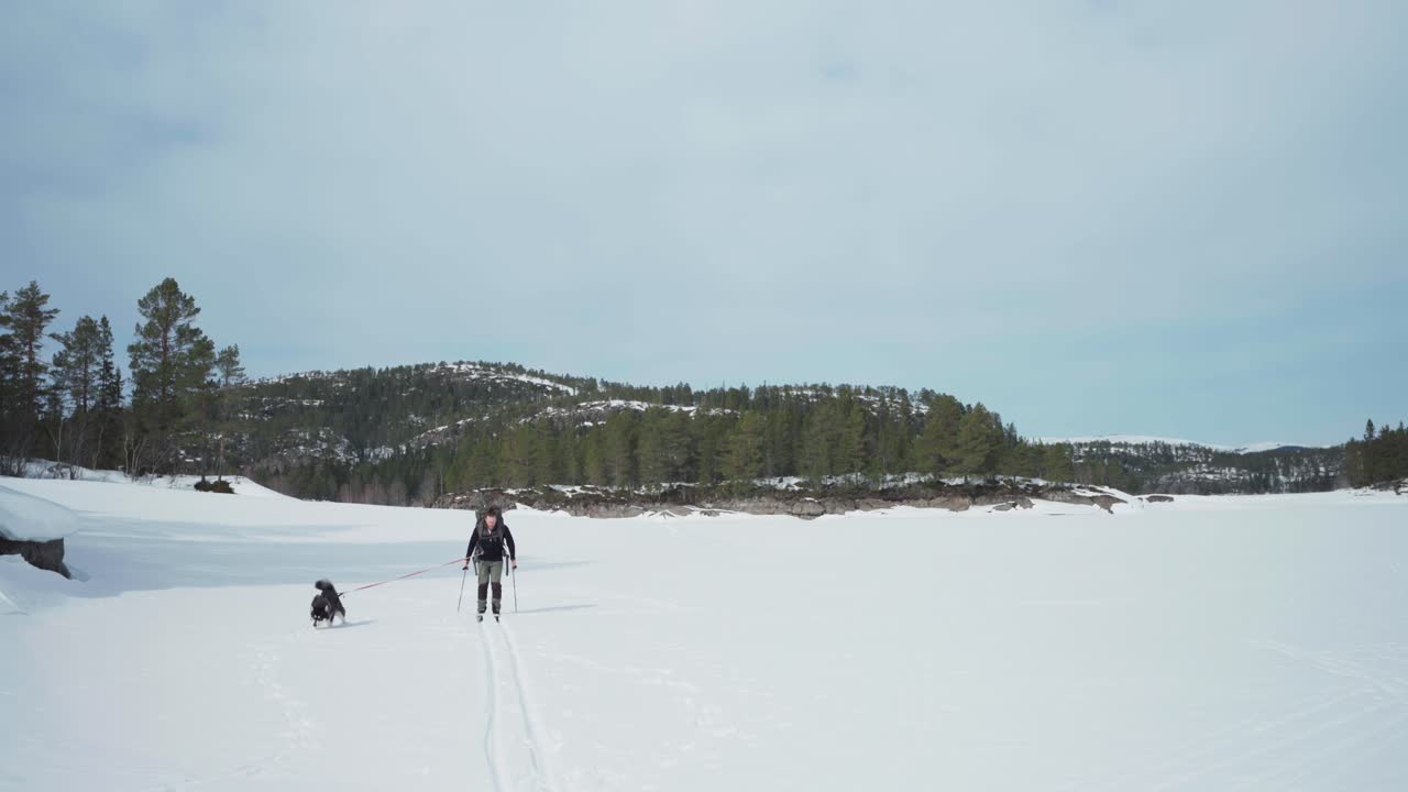 Un uomo con zaino e cane, bastoncini da sci lungo un paesaggio invernale innevato