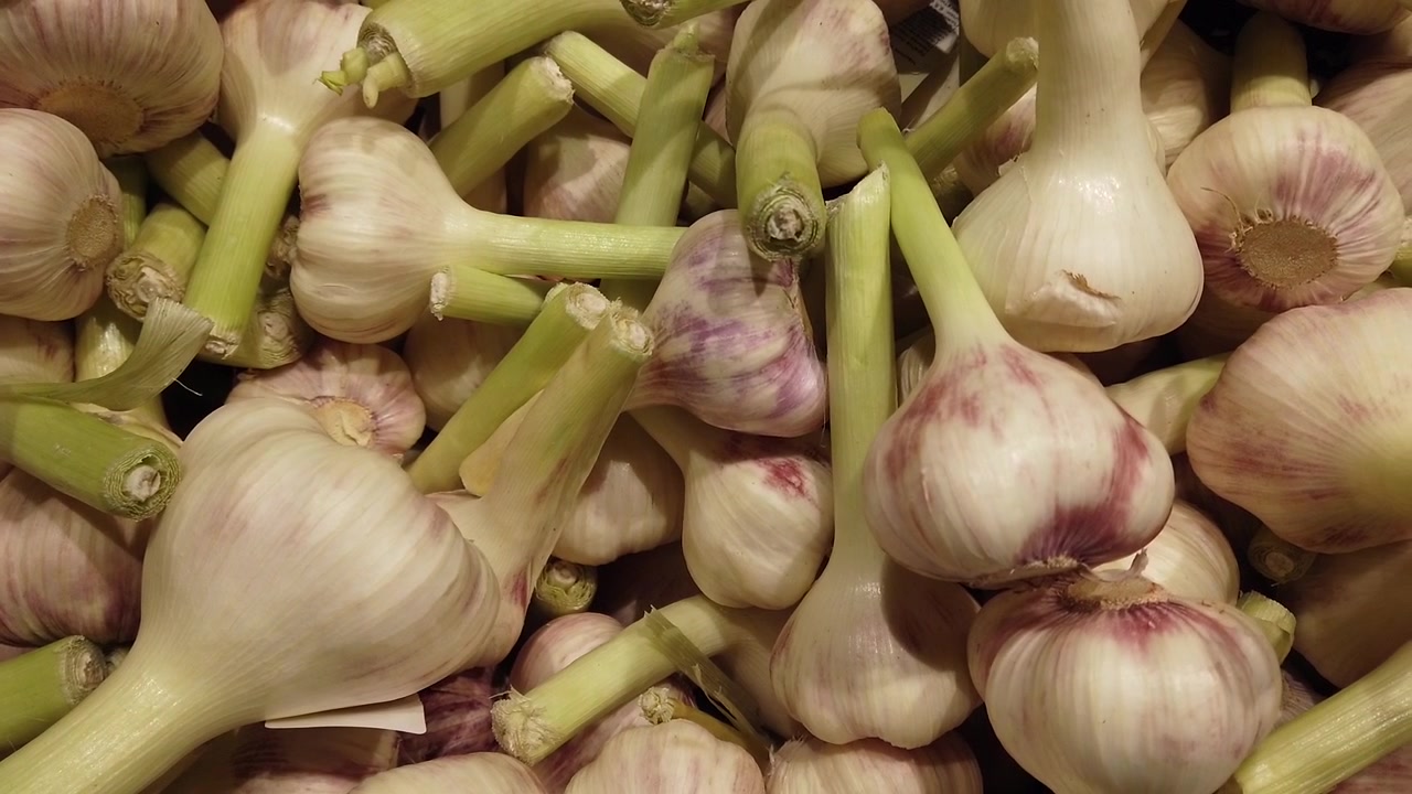 Teste d'aglio nel negozio