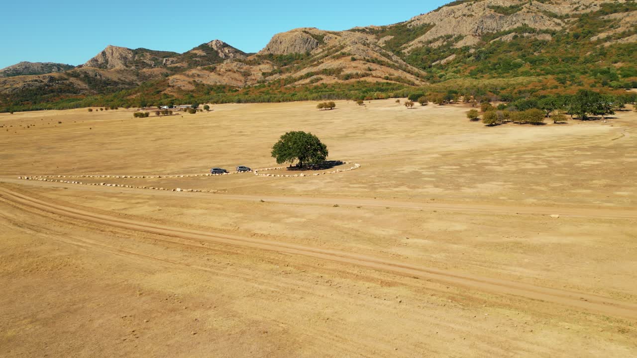 Monti Măcin, contea di Tulcea, Romania - Un albero si erge al centro di una vasta pianura arida, circondato da pietre e sentieri sterrati, con aspre colline che si ergono sotto un cielo azzurro terso - Ripresa aerea con drone