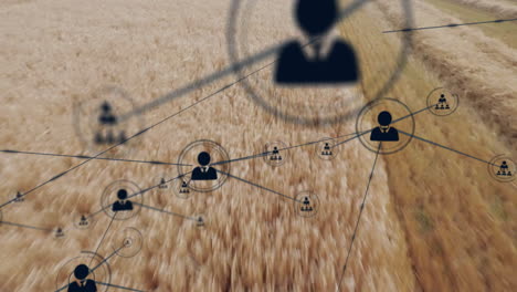 network of connections and data processing animation over wheat field