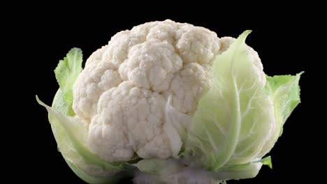 video of rotating wet cauliflower on black background