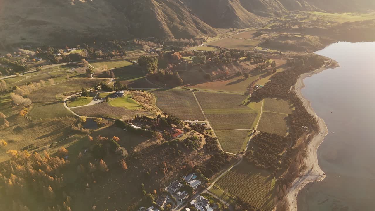 Aerial over vineyards and countryside on shore of Lake Wanaka during golden hour sunset, with mountains in background, Otago, New Zealand
