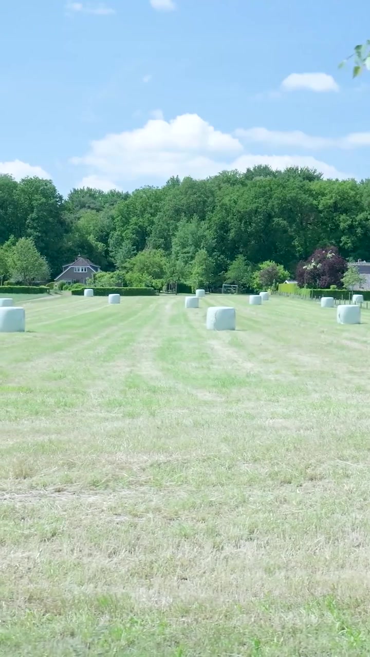 White Hay Bales Scattered Across a Sunny Rural Field