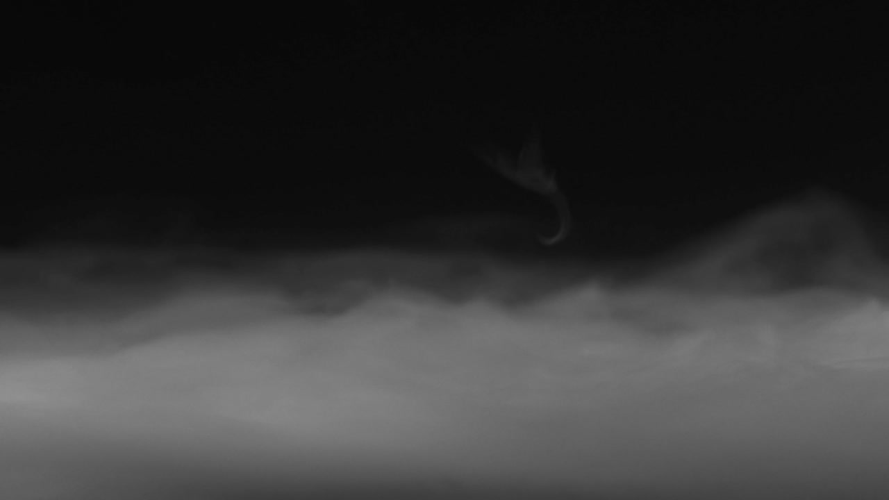 건조 얼음 연기