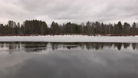 beaver rodent swimming canada gilmore lake winter north america nature landscape