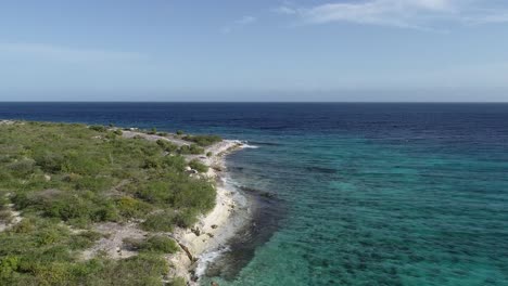 drone volando obe costa de coral
