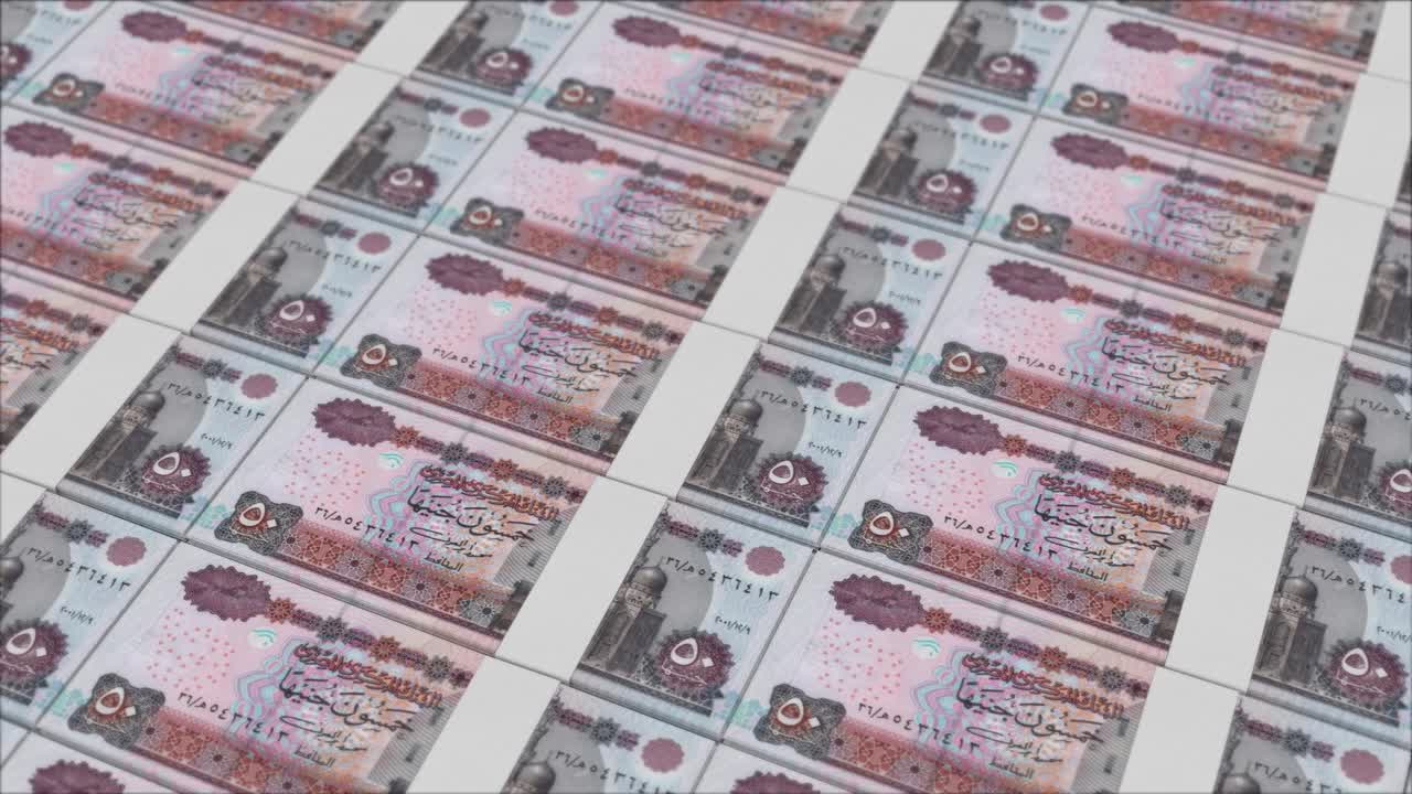 billetes de 50 libras egipcias impresos por una prensa monetaria