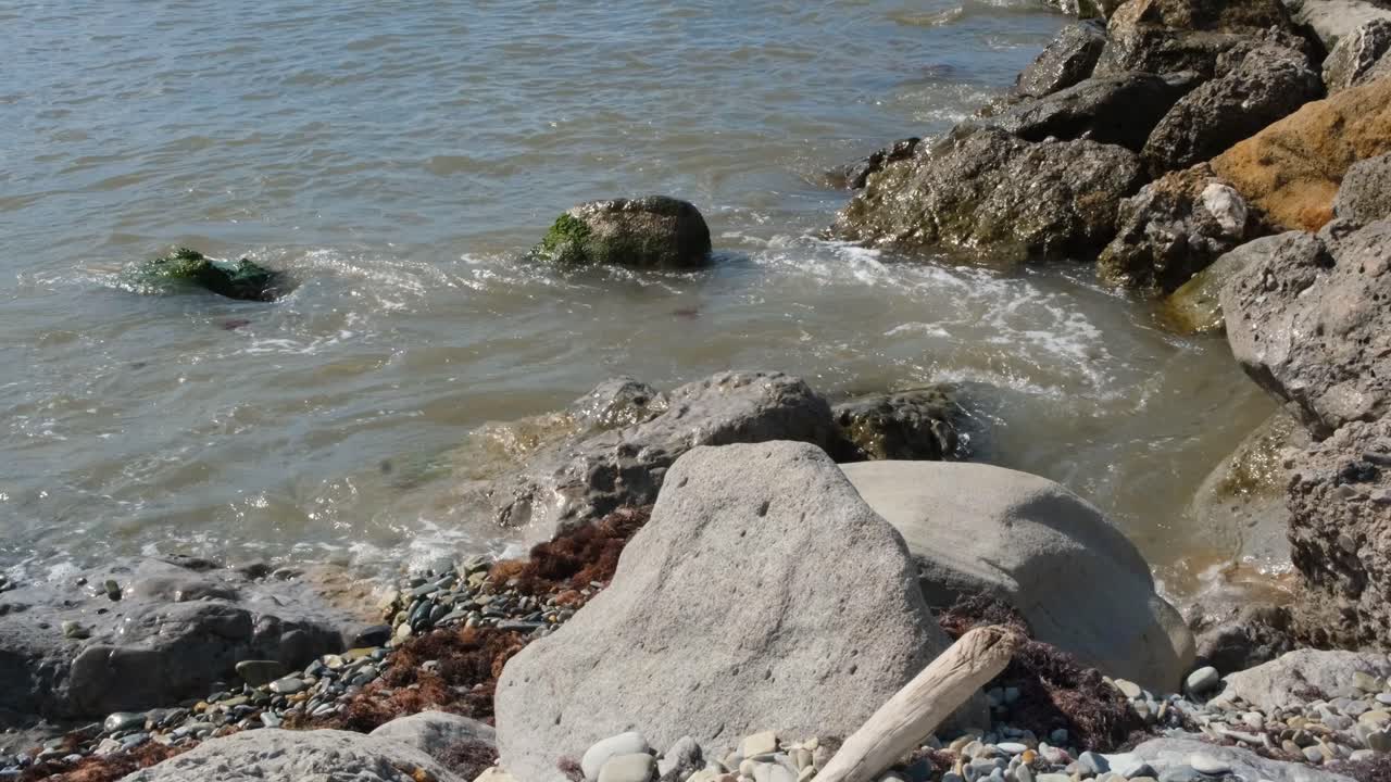 Costa rocciosa con onde