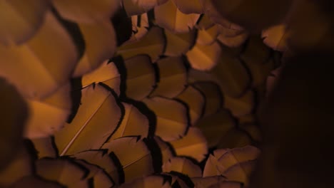 yellow feathers tunnel - loop background