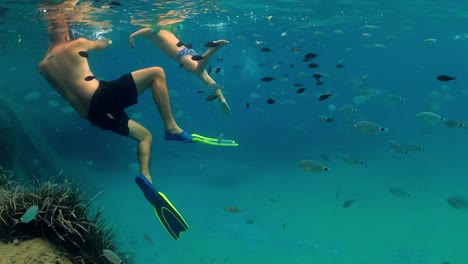 Underwater-slow-motion-scene-of-father-and-little-son-swimming-in-blue-tropical-sea-water-surrounded-by-school-of-fish