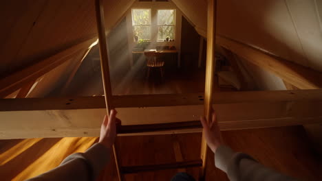 point of view climbing a ladder into a sunny attic study