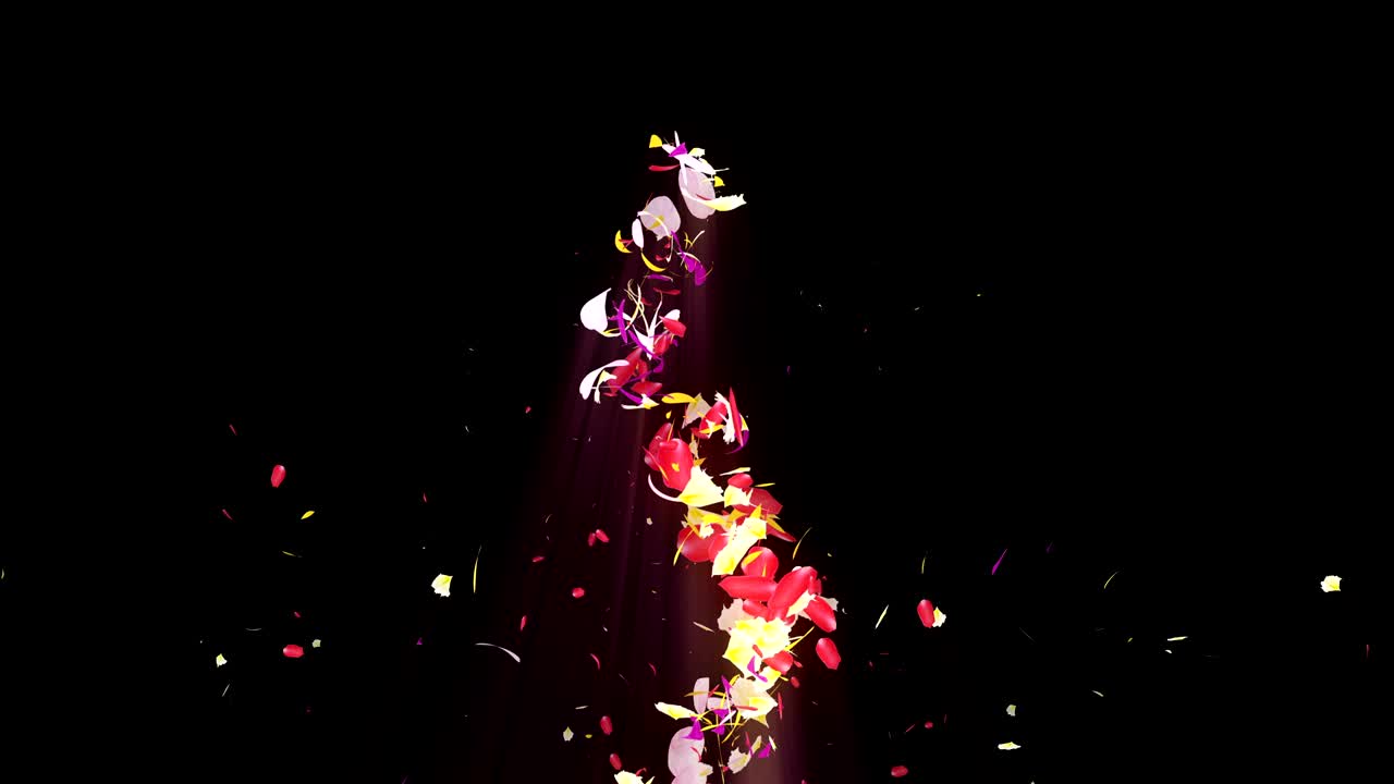 화려한 잎자루, 나선형 반이는 꽃잎, 꽃 모양, 예쁜 춤추는 꽃잎, 회전하는 꽃잎에서 소용돌이, 추상적인 루프 애니메이션.