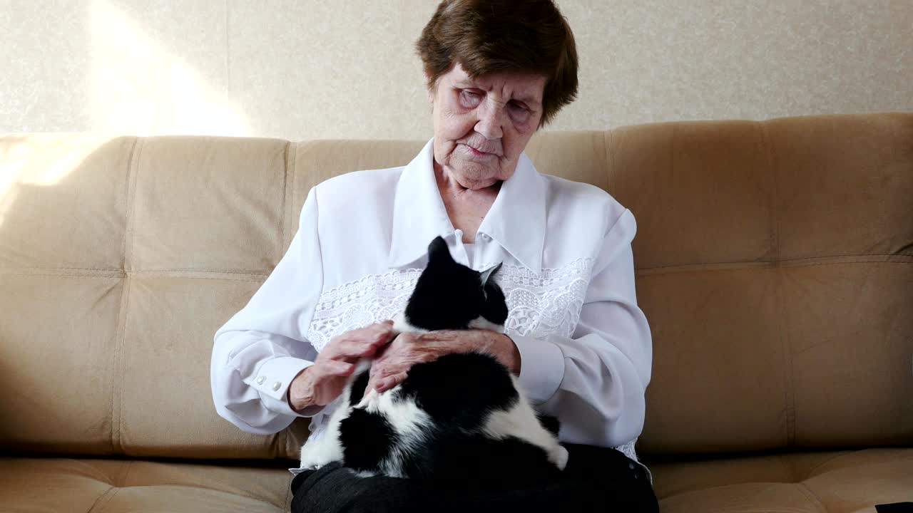 고양이를 만지는 은이, 고양이와 놀는 할머니, 4k